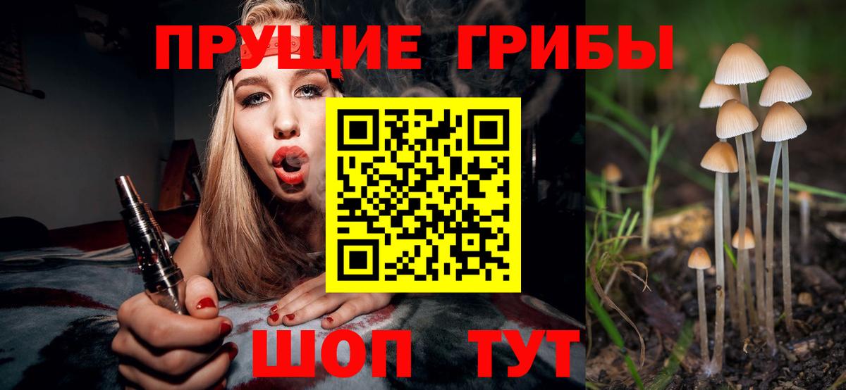 Псилоцибиновые грибы мицелий Орехово-Зуево