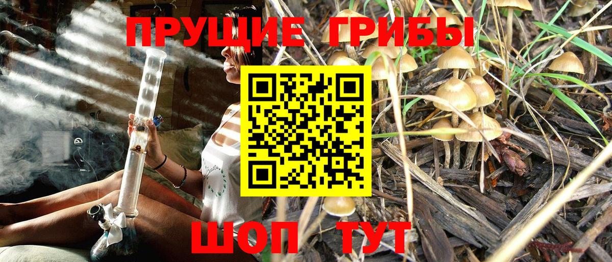 Cocaine Орехово-Зуево